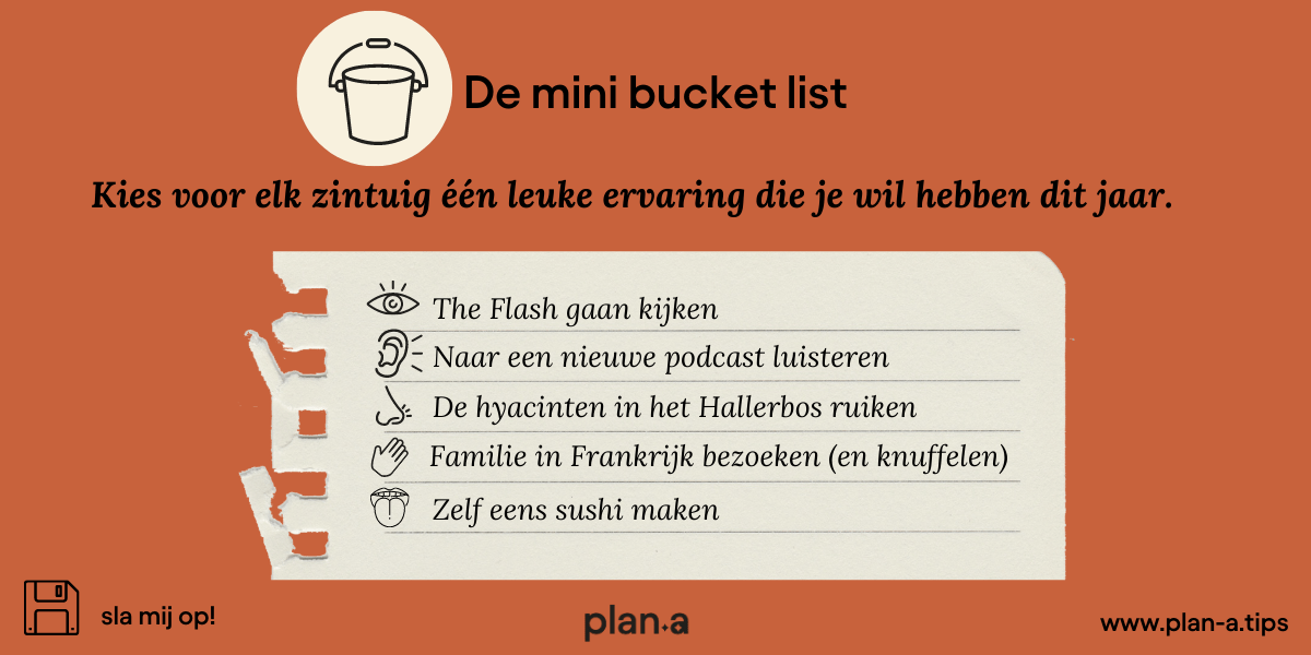 goeie voornemens mini bucket lijst voorbeeld