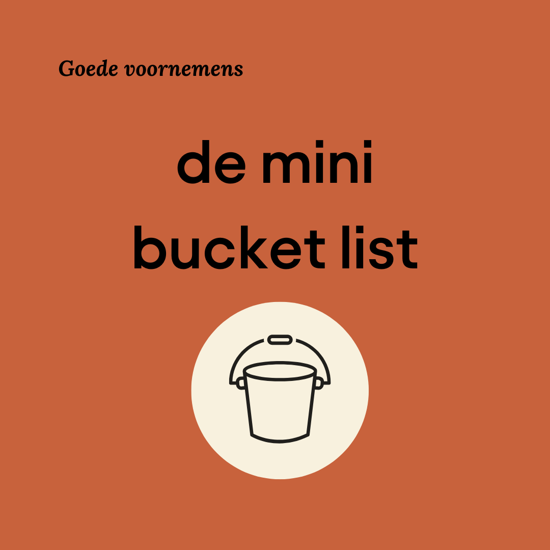 mini bucket list goede voornemens
